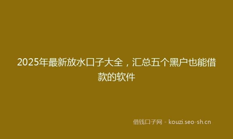 2025年最新放水口子大全，汇总五个黑户也能借款的软件