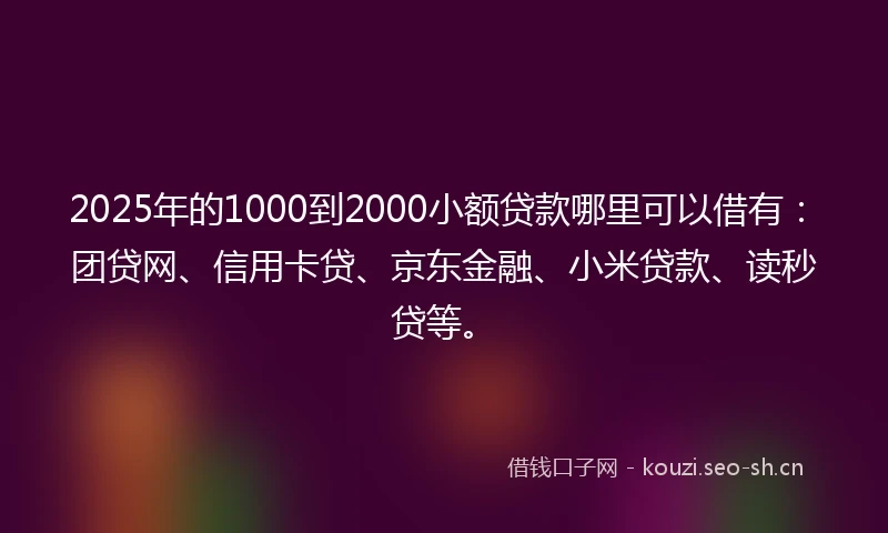 2025年的1000到2000小额贷款哪里可以借有:团贷网、信用卡贷、京东金融、小米贷款、读秒贷等。