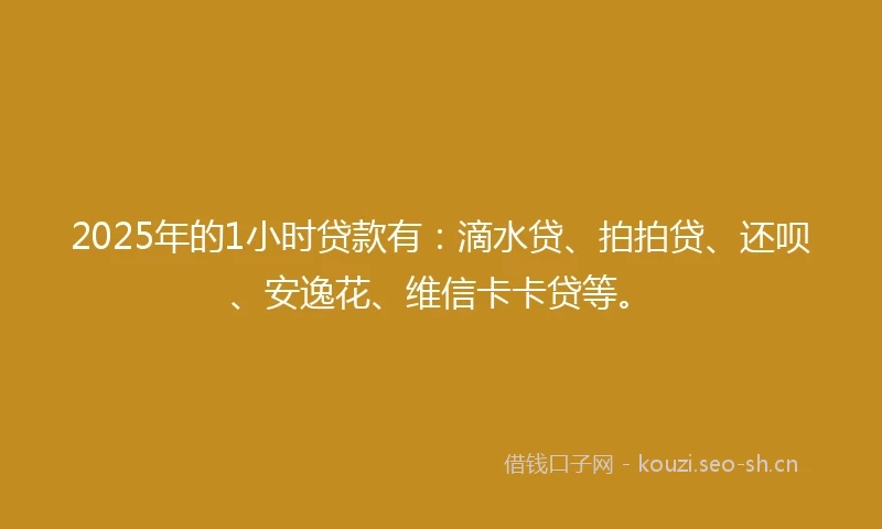 2025年的1小时贷款有：滴水贷、拍拍贷、还呗、安逸花、维信卡卡贷等。