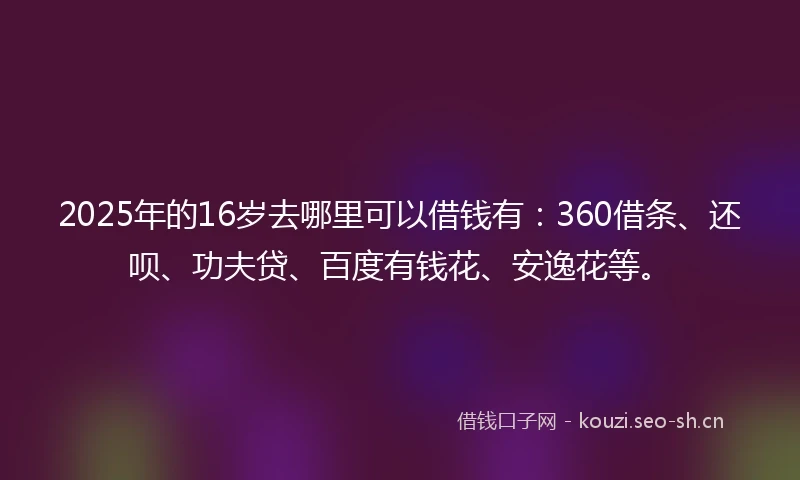 2025年的16岁去哪里可以借钱有：360借条、还呗、功夫贷、百度有钱花、安逸花等。