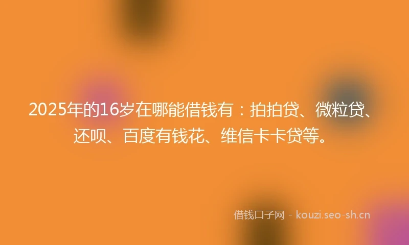 2025年的16岁在哪能借钱有：拍拍贷、微粒贷、还呗、百度有钱花、维信卡卡贷等。