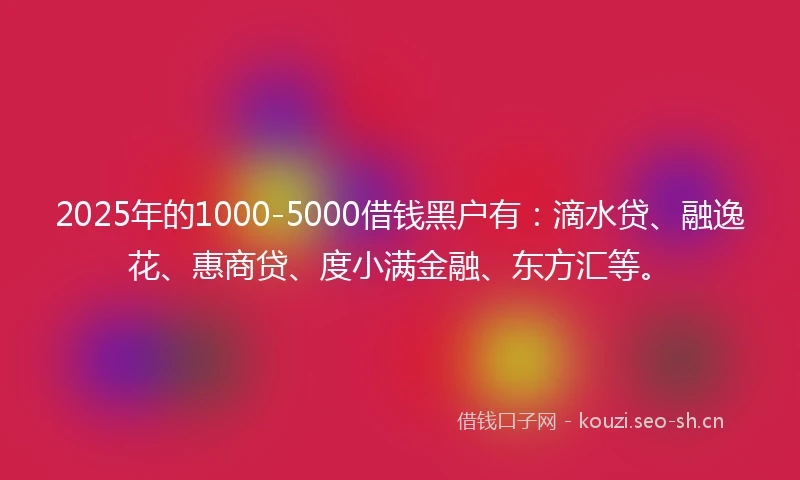 2025年的1000-5000借钱黑户有：滴水贷、融逸花、惠商贷、度小满金融、东方汇等。