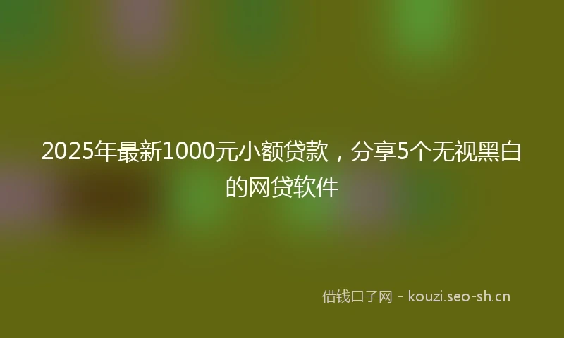 2025年最新1000元小额贷款，分享5个无视黑白的网贷软件