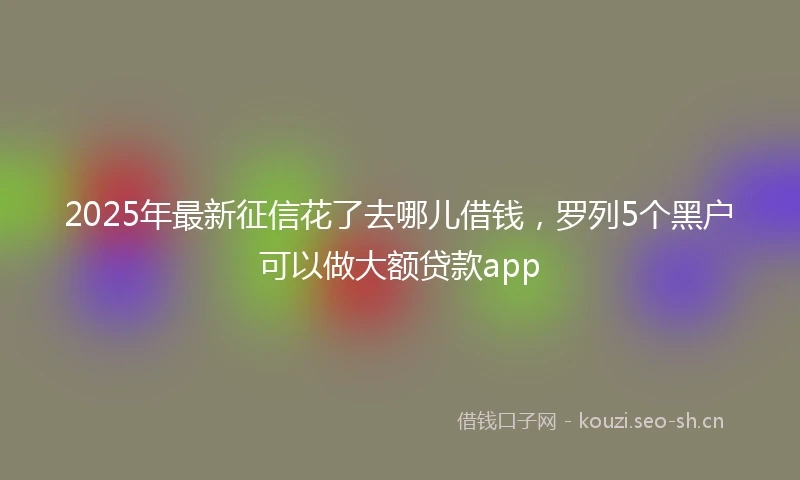 2025年最新征信花了去哪儿借钱,罗列5个黑户可以做大额贷款app