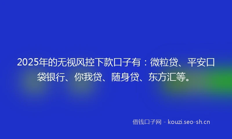 2025年的无视风控下款口子有：微粒贷、平安口袋银行、你我贷、随身贷、东方汇等。