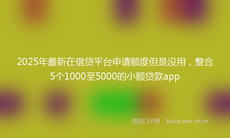 2025年最新在借贷平台申请额度但是没用,整合5个1000至5000的小额贷款app