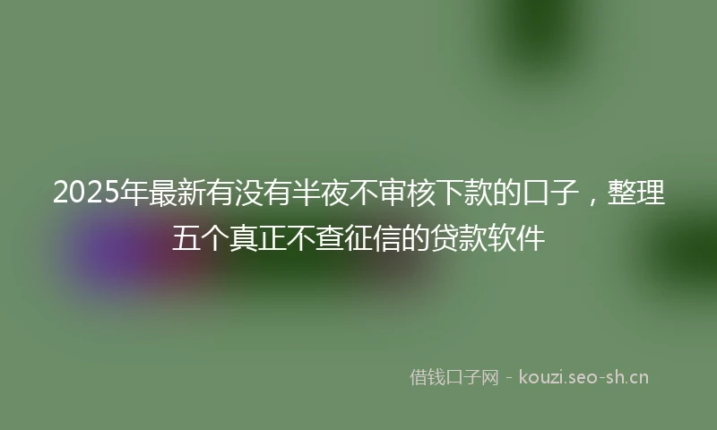 2025年最新有没有半夜不审核下款的口子，整理五个真正不查征信的贷款软件