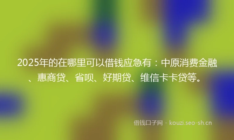2025年的在哪里可以借钱应急有：中原消费金融、惠商贷、省呗、好期贷、维信卡卡贷等。
