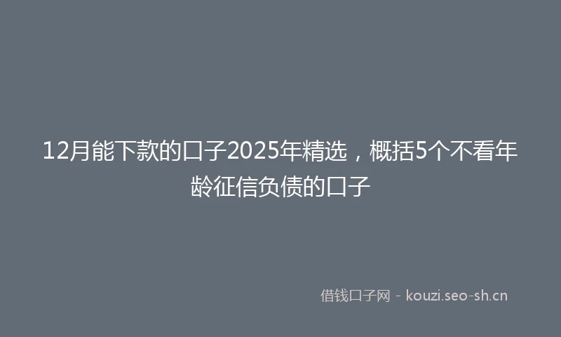 12月能下款的口子2025年精选，概括5个不看年龄征信负债的口子