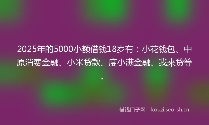 2025年的5000小额借钱18岁有：小花钱包、中原消费金融、小米贷款、度小满金融、我来贷等。