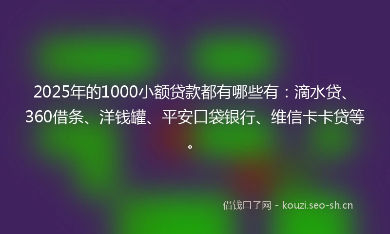 2025年的1000小额贷款都有哪些有：滴水贷、360借条、洋钱罐、平安口袋银行、维信卡卡贷等。