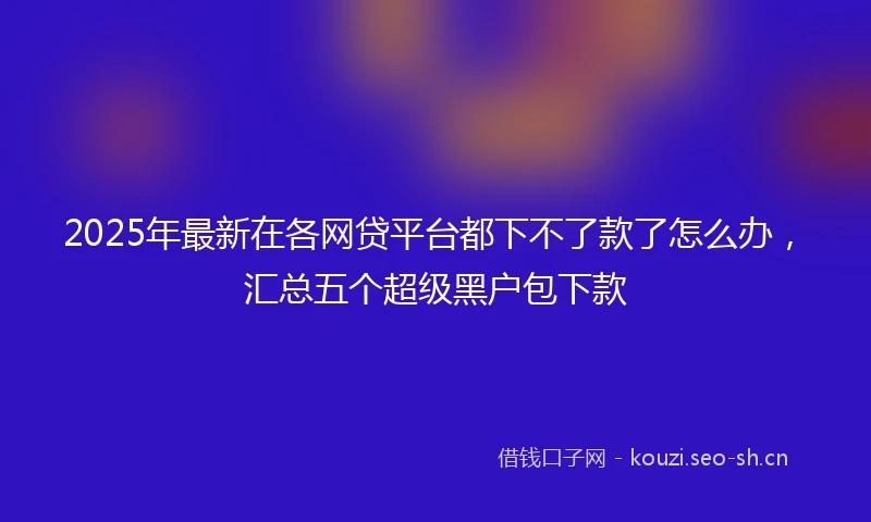 2025年最新在各网贷平台都下不了款了怎么办,汇总五个超级黑户包下款