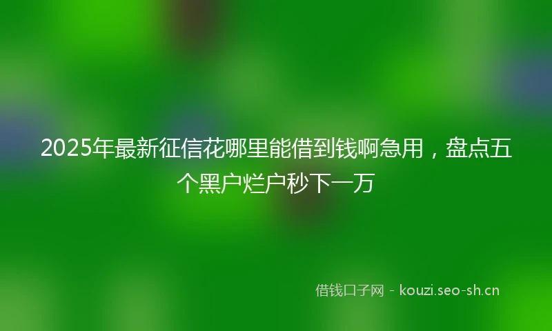 2025年最新征信花哪里能借到钱啊急用，盘点五个黑户烂户秒下一万