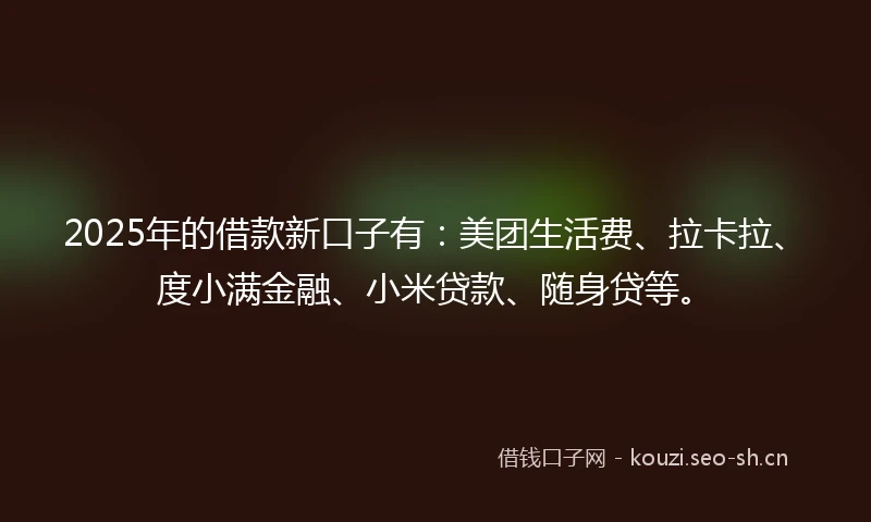 2025年的借款新口子有：美团生活费、拉卡拉、度小满金融、小米贷款、随身贷等。