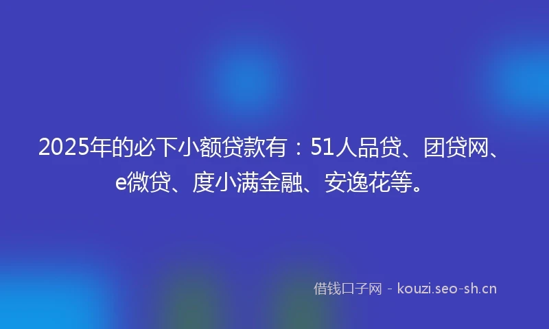 2025年的必下小额贷款有：51人品贷、团贷网、e微贷、度小满金融、安逸花等。