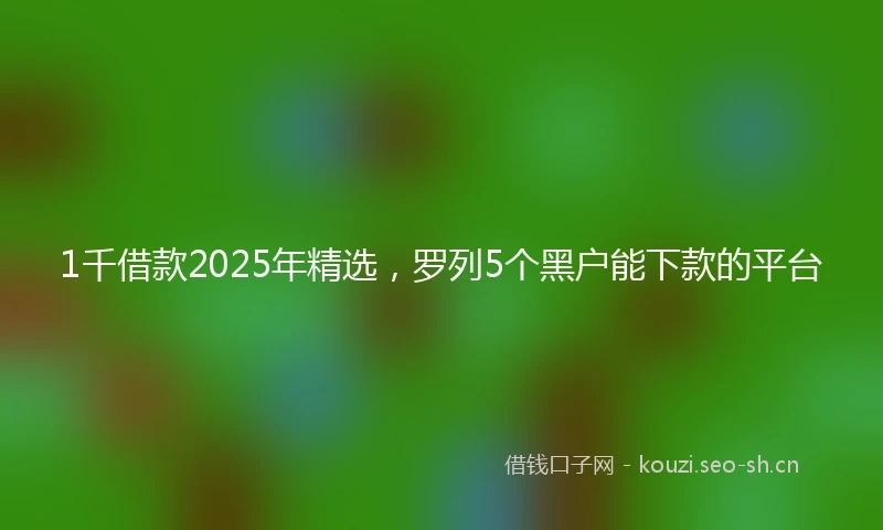 1千借款2025年精选，罗列5个黑户能下款的平台
