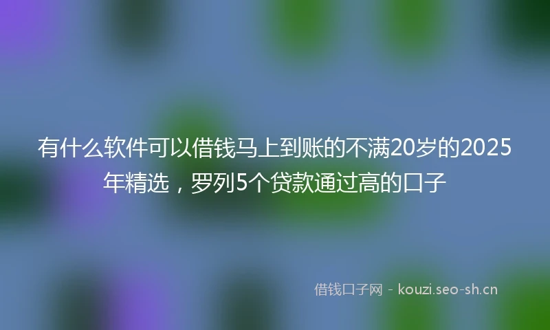 有什么软件可以借钱马上到账的不满20岁的2025年精选，罗列5个贷款通过高的口子