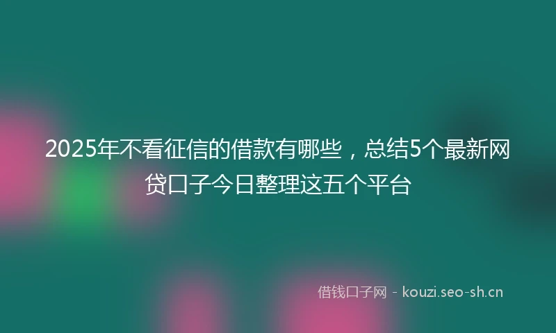 2025年不看征信的借款有哪些，总结5个最新网贷口子今日整理这五个平台