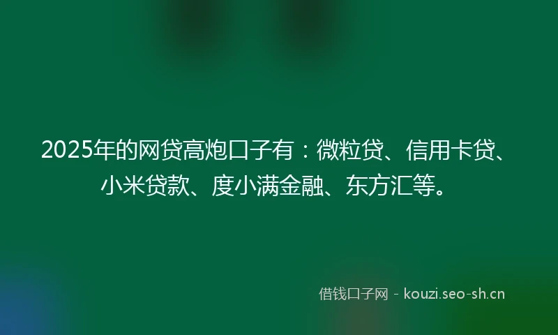 2025年的网贷高炮口子有：微粒贷、信用卡贷、小米贷款、度小满金融、东方汇等。