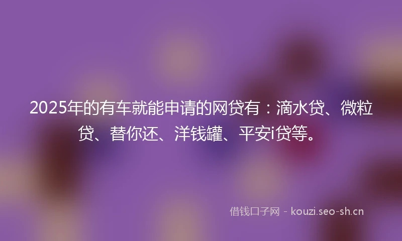 2025年的有车就能申请的网贷有：滴水贷、微粒贷、替你还、洋钱罐、平安i贷等。