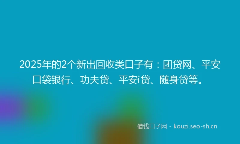 2025年的2个新出回收类口子有：团贷网、平安口袋银行、功夫贷、平安i贷、随身贷等。