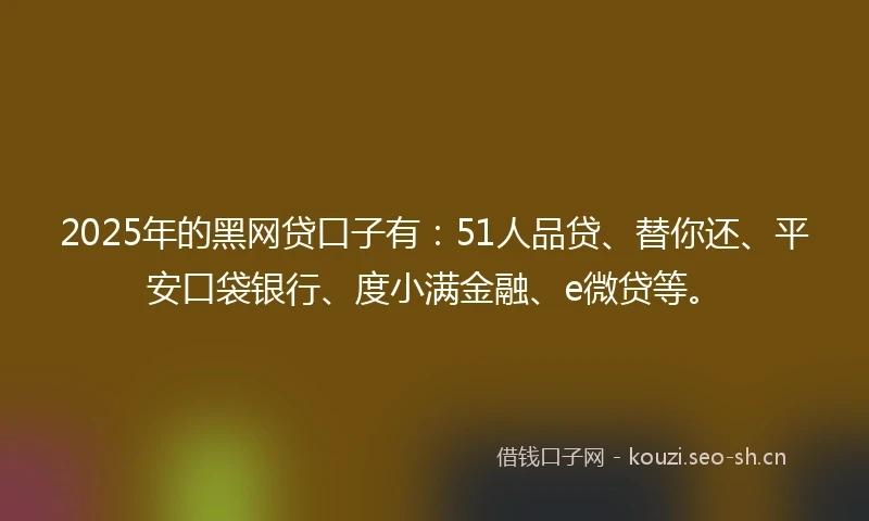 2025年的黑网贷口子有：51人品贷、替你还、平安口袋银行、度小满金融、e微贷等。