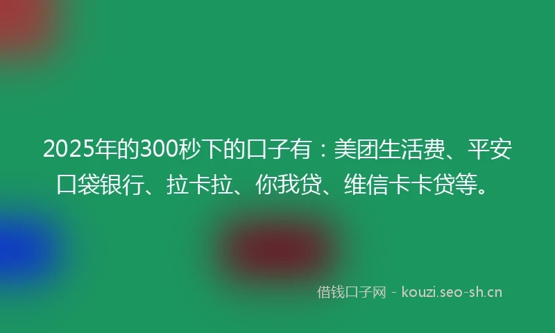 2025年的300秒下的口子有：美团生活费、平安口袋银行、拉卡拉、你我贷、维信卡卡贷等。