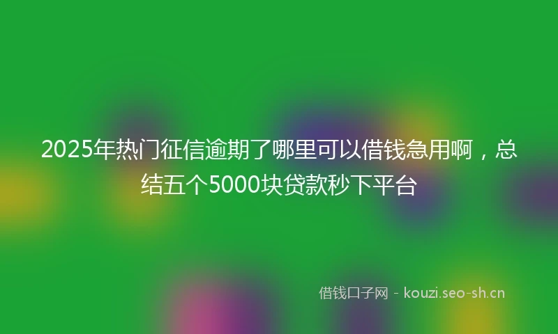 2025年热门征信逾期了哪里可以借钱急用啊，总结五个5000块贷款秒下平台