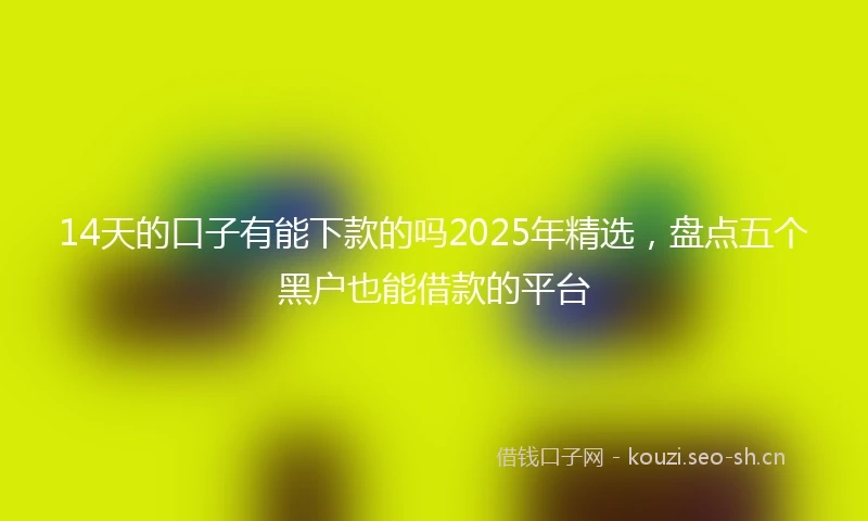 14天的口子有能下款的吗2025年精选，盘点五个黑户也能借款的平台