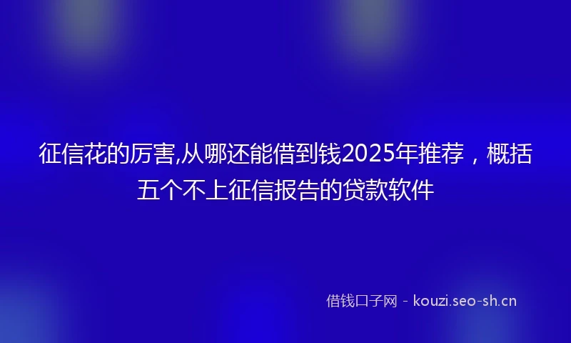 征信花的厉害,从哪还能借到钱2025年推荐，概括五个不上征信报告的贷款软件