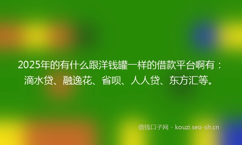 2025年的有什么跟洋钱罐一样的借款平台啊有：滴水贷、融逸花、省呗、人人贷、东方汇等。