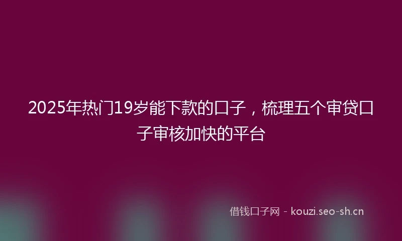 2025年热门19岁能下款的口子，梳理五个审贷口子审核加快的平台