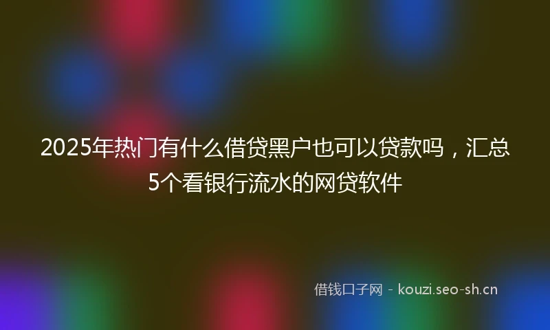 2025年热门有什么借贷黑户也可以贷款吗,汇总5个看银行流水的网贷软件