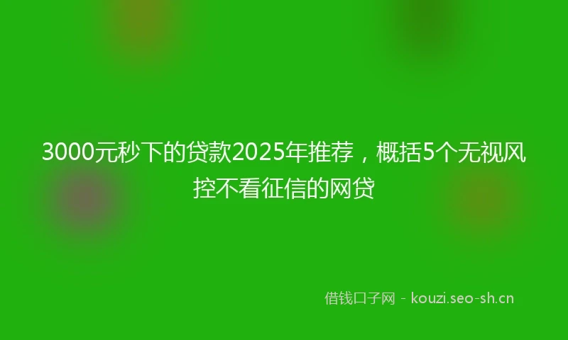 3000元秒下的贷款2025年推荐，概括5个无视风控不看征信的网贷