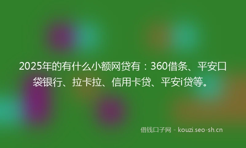 2025年的有什么小额网贷有：360借条、平安口袋银行、拉卡拉、信用卡贷、平安i贷等。