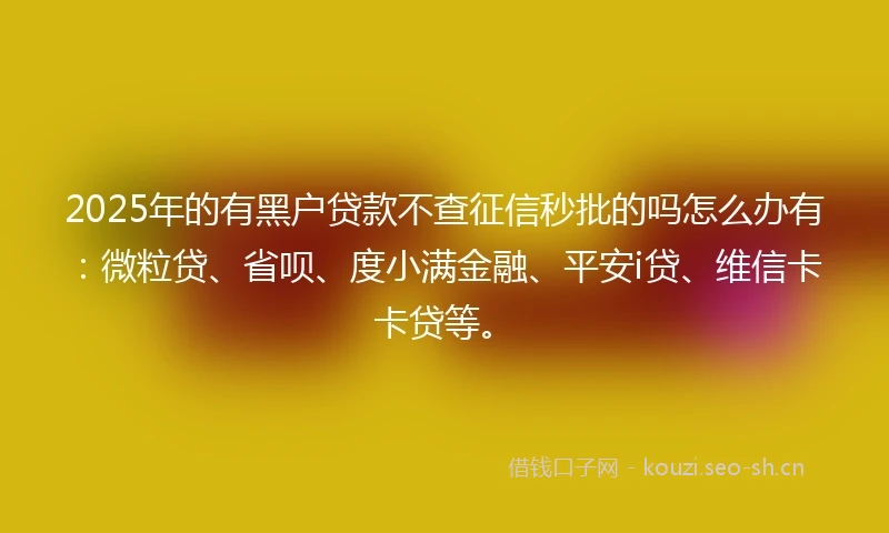 2025年的有黑户贷款不查征信秒批的吗怎么办有：微粒贷、省呗、度小满金融、平安i贷、维信卡卡贷等。
