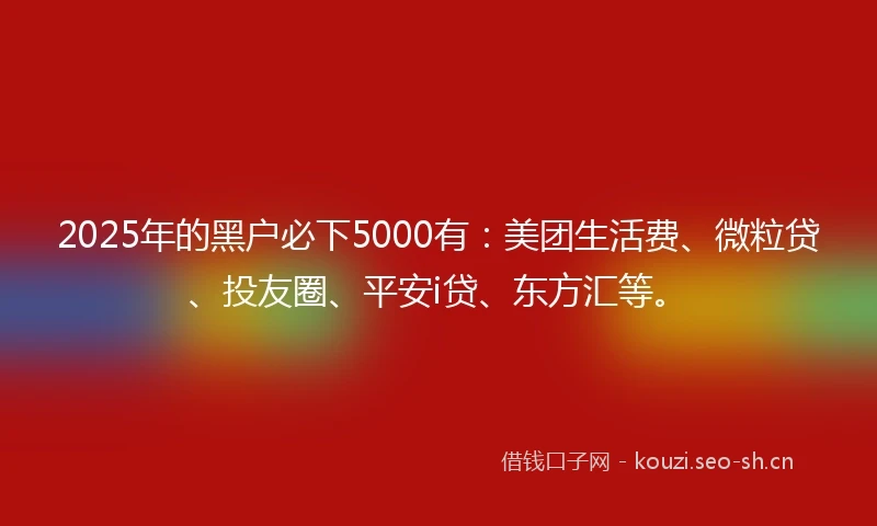 2025年的黑户必下5000有：美团生活费、微粒贷、投友圈、平安i贷、东方汇等。