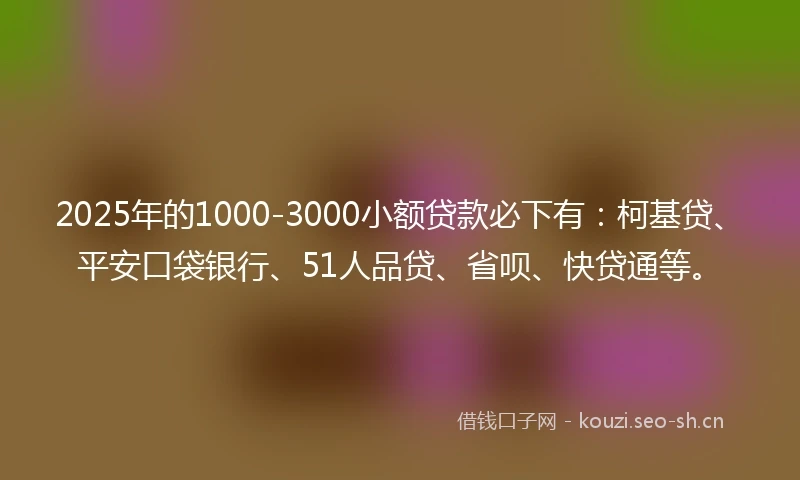 2025年的1000-3000小额贷款必下有：柯基贷、平安口袋银行、51人品贷、省呗、快贷通等。