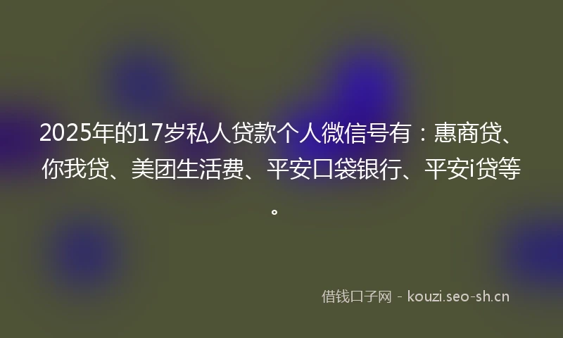 2025年的17岁私人贷款个人微信号有：惠商贷、你我贷、美团生活费、平安口袋银行、平安i贷等。