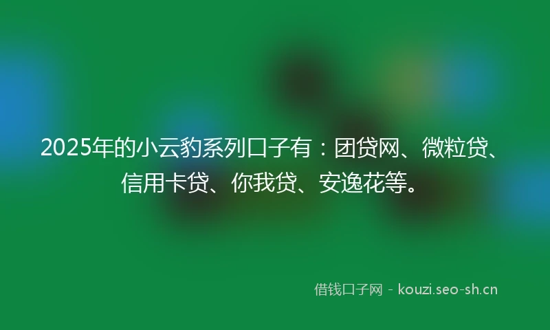 2025年的小云豹系列口子有：团贷网、微粒贷、信用卡贷、你我贷、安逸花等。