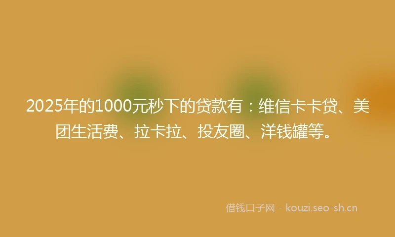 2025年的1000元秒下的贷款有：维信卡卡贷、美团生活费、拉卡拉、投友圈、洋钱罐等。