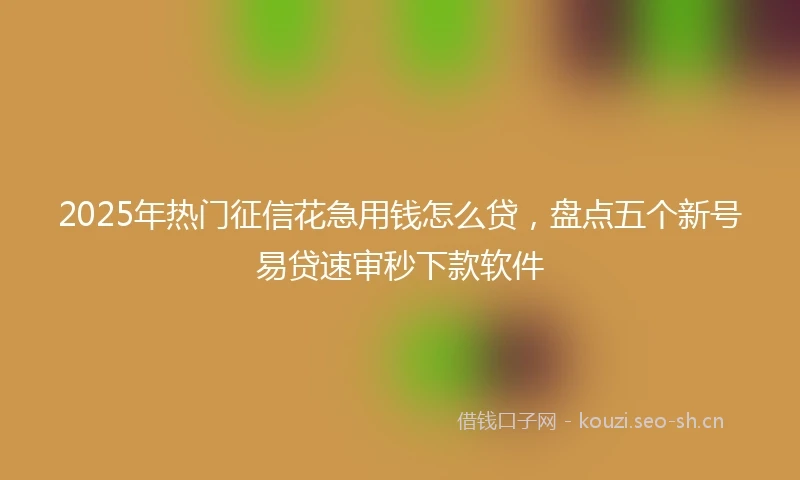 2025年热门征信花急用钱怎么贷，盘点五个新号易贷速审秒下款软件
