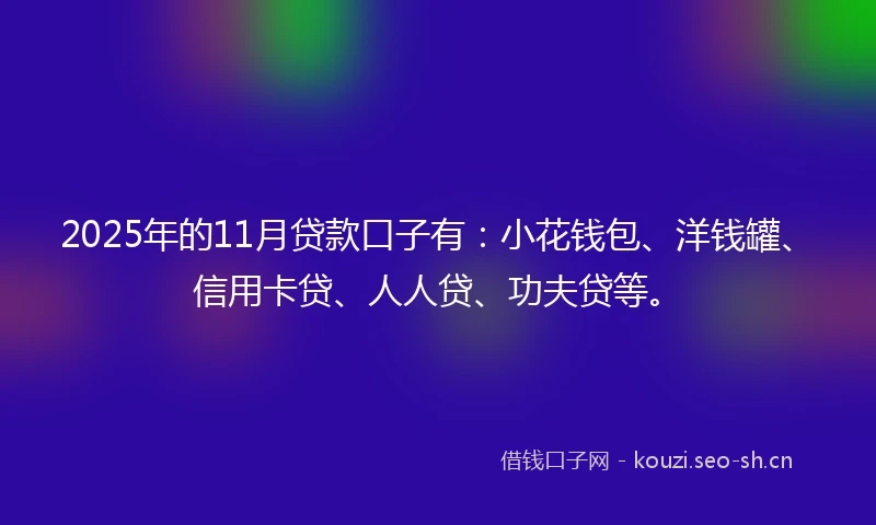 2025年的11月贷款口子有：小花钱包、洋钱罐、信用卡贷、人人贷、功夫贷等。