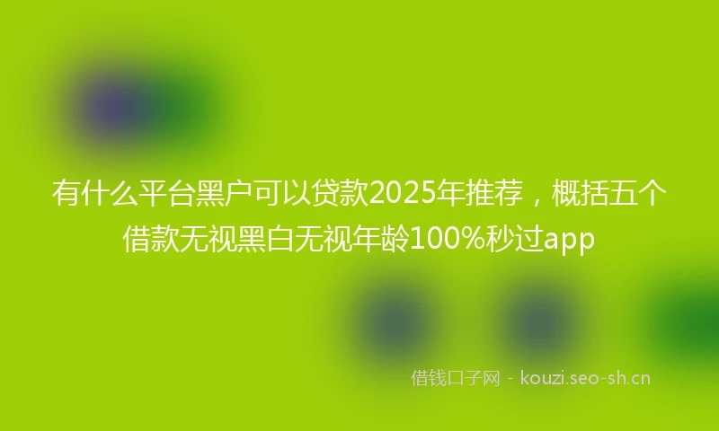 有什么平台黑户可以贷款2025年推荐，概括五个借款无视黑白无视年龄100%秒过app
