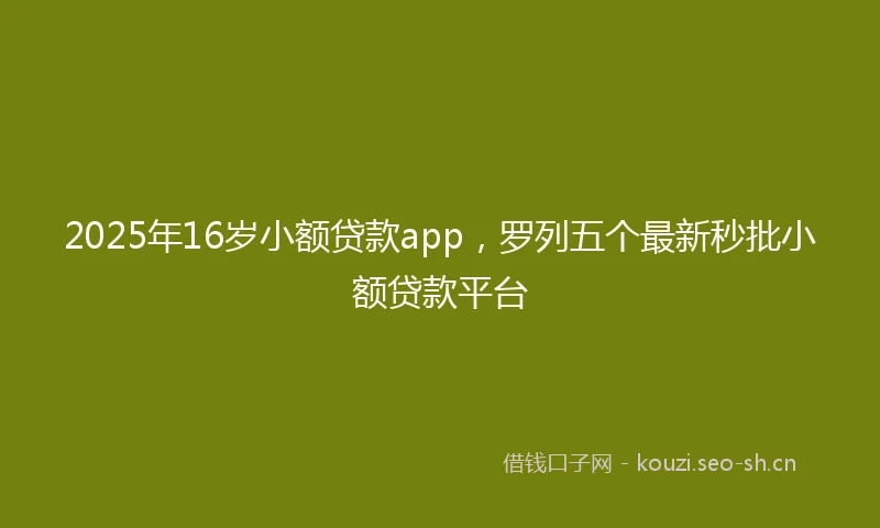2025年16岁小额贷款app，罗列五个最新秒批小额贷款平台