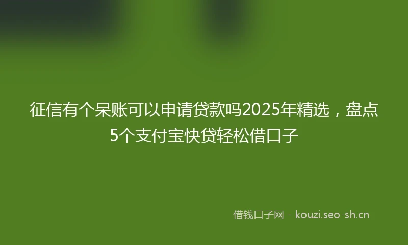 征信有个呆账可以申请贷款吗2025年精选，盘点5个支付宝快贷轻松借口子