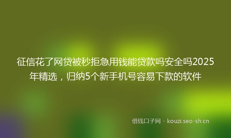 征信花了网贷被秒拒急用钱能贷款吗安全吗2025年精选，归纳5个新手机号容易下款的软件