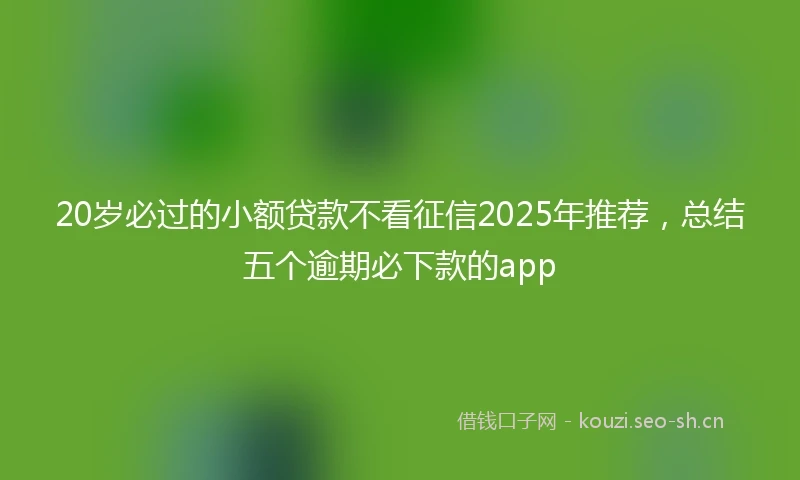 20岁必过的小额贷款不看征信2025年推荐，总结五个逾期必下款的app