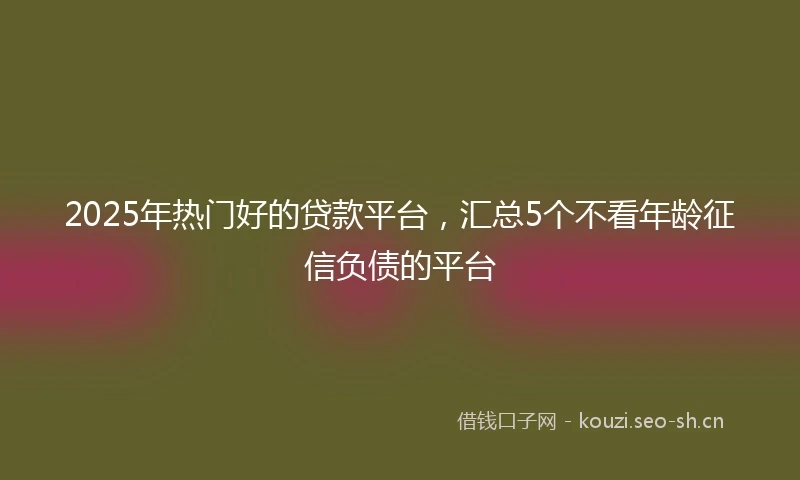 2025年热门好的贷款平台，汇总5个不看年龄征信负债的平台