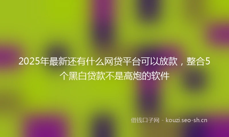 2025年最新还有什么网贷平台可以放款，整合5个黑白贷款不是高炮的软件